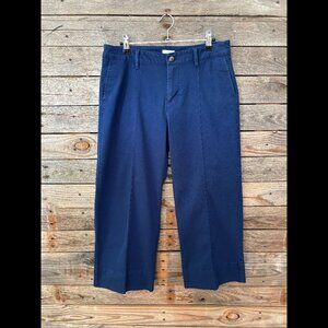 NWT J.Jill Blue Azure Wide Leg Culotte Cropped Pants - Size 10P